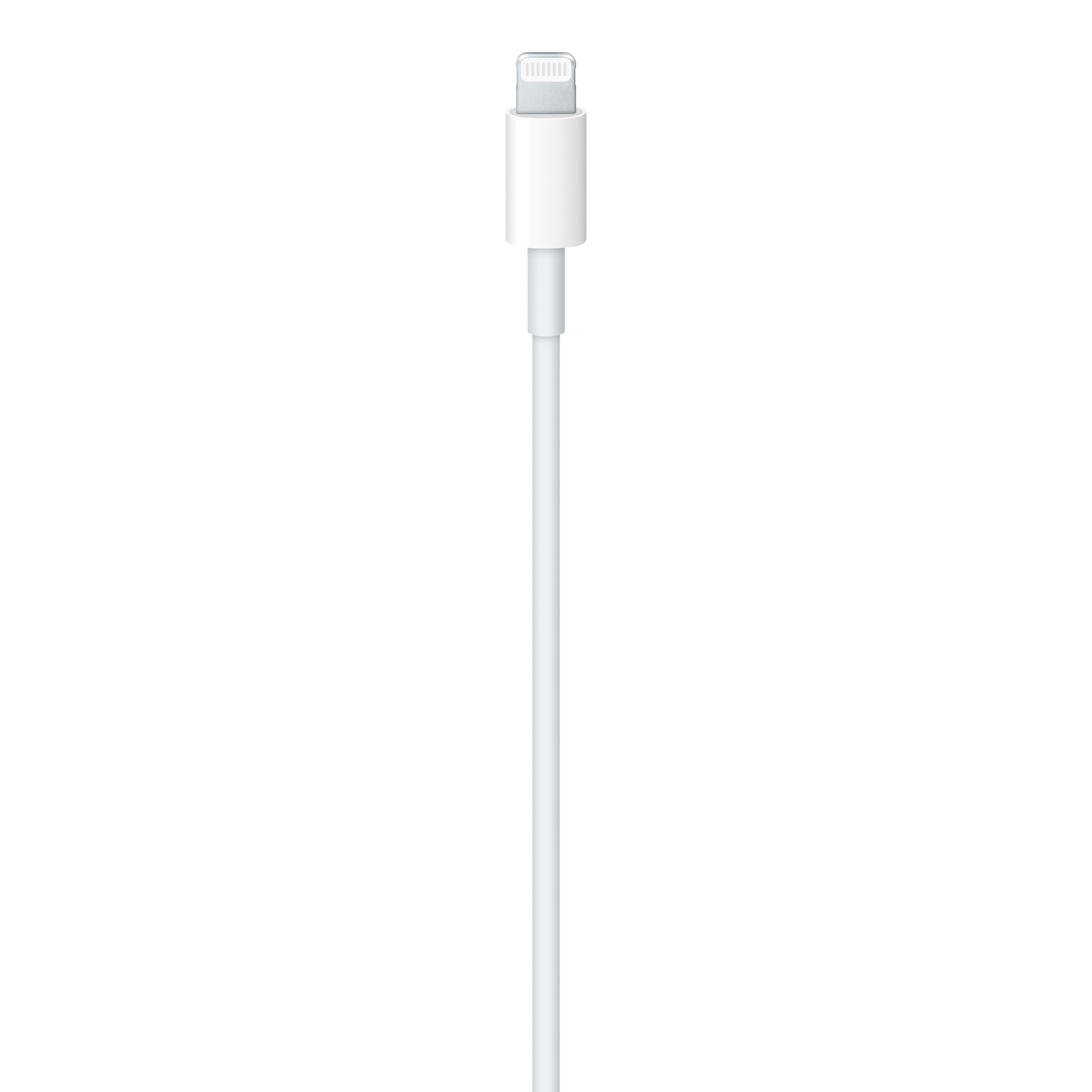 Lightningコネクタ側の接写(画像:Apple)