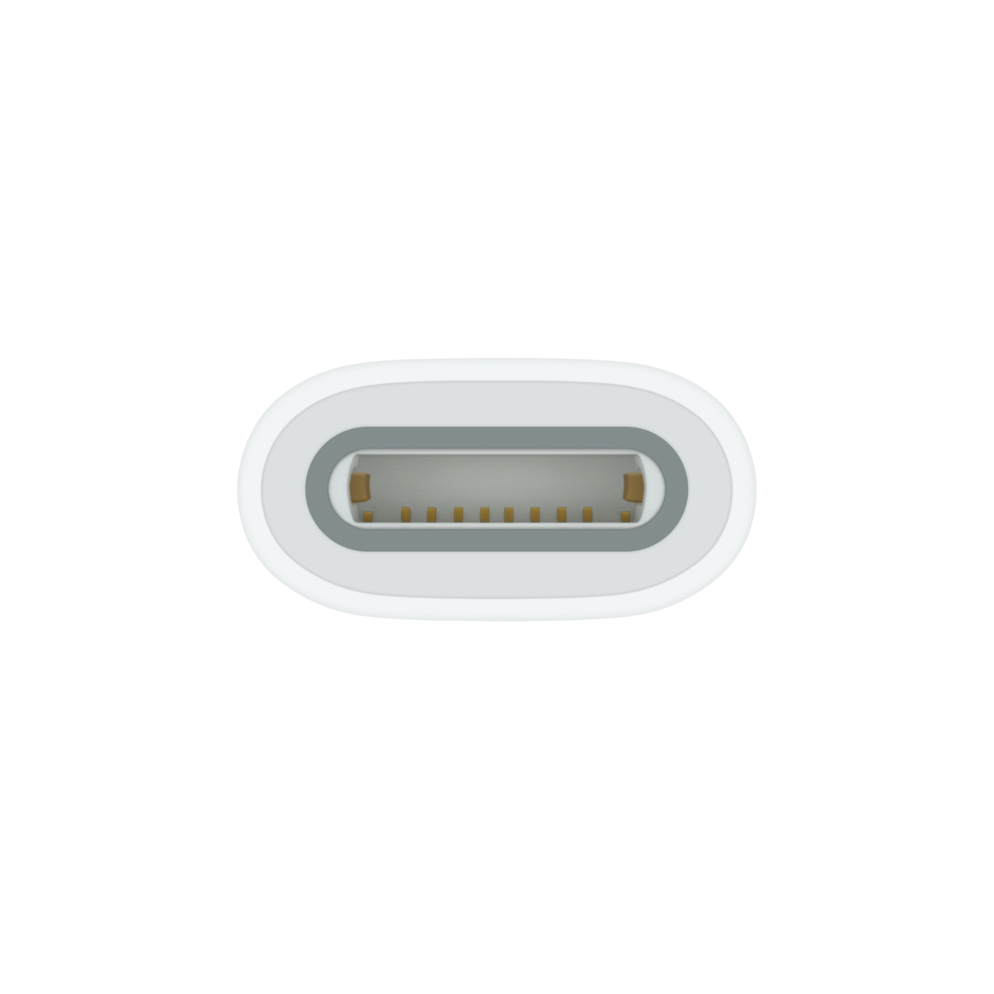 第1世代Apple PencilのLightningコネクタを受ける側の近接写真(画像:Apple)