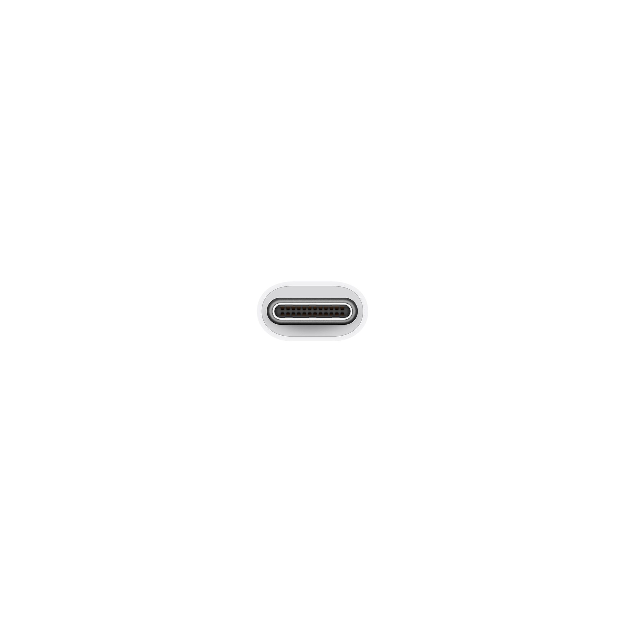 端末へ差すUSB-Cプラグの正面（画像：Apple）