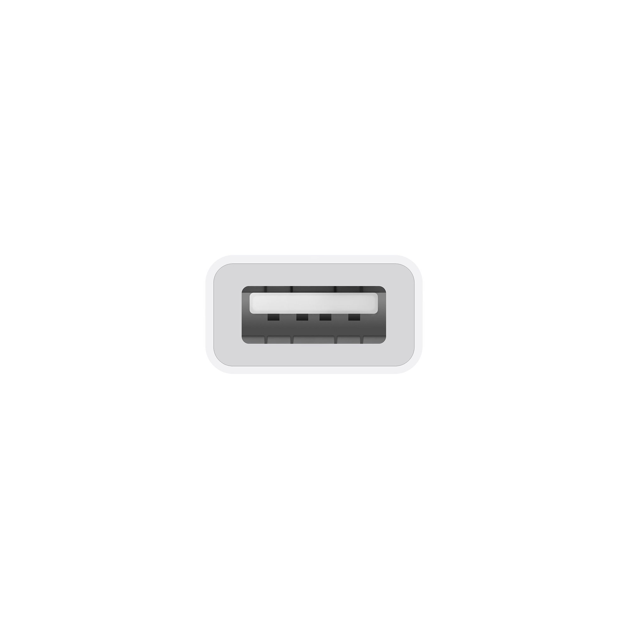 USB-A機器のプラグを受ける差込口。充電器の電源プラグや3.5mmジャックではない（画像：Apple）