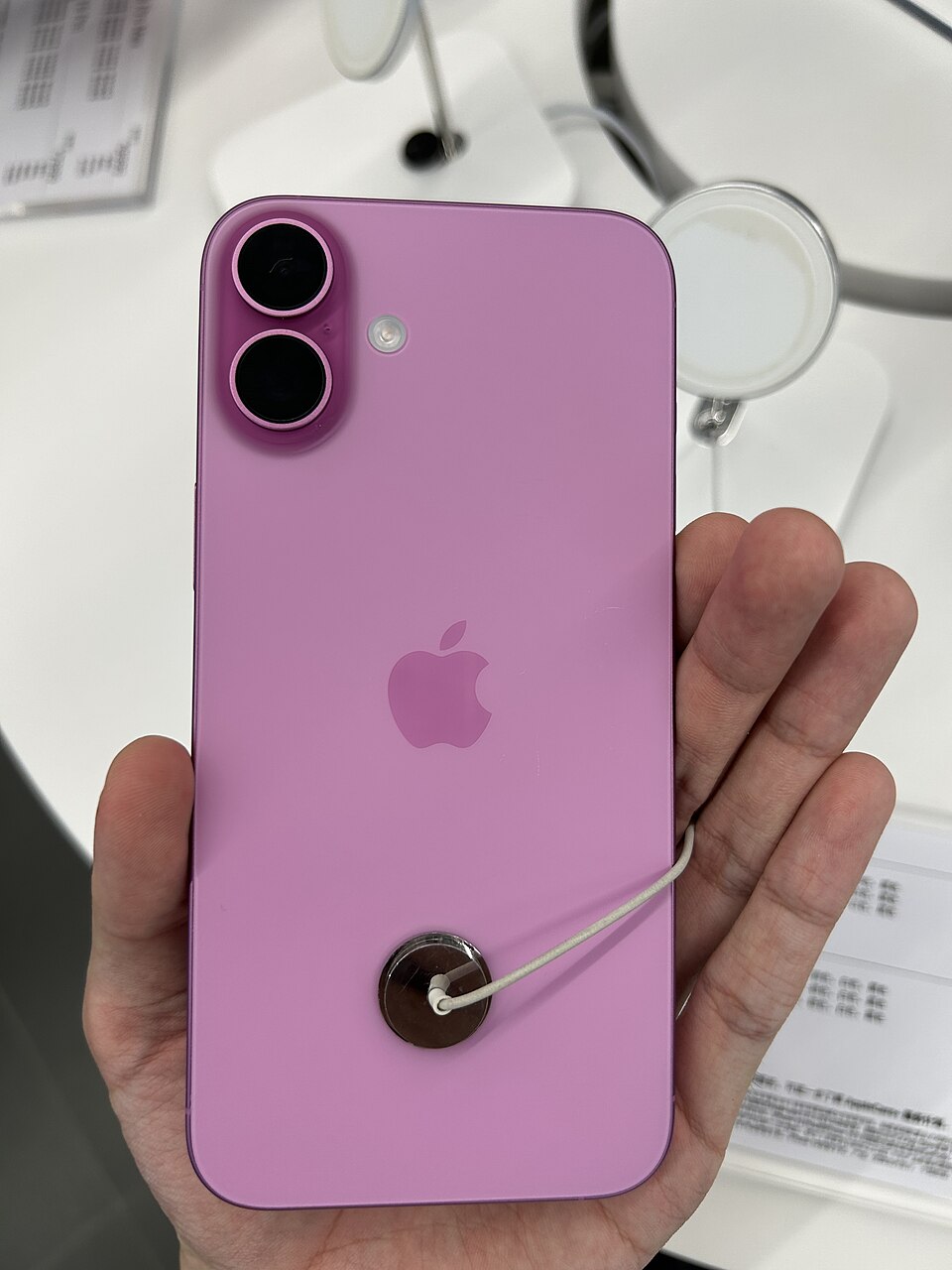 ピンク色のiPhone 16 Plusの背面を手に持った実物写真。縦並びの2眼カメラが見える